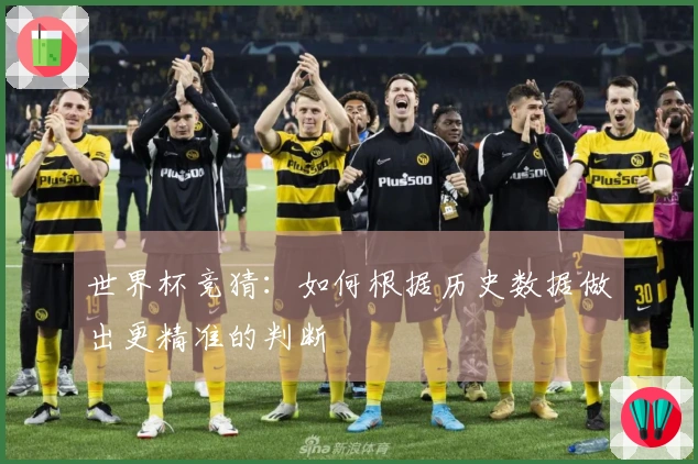 世界杯竞猜：如何根据历史数据做出更精准的判断