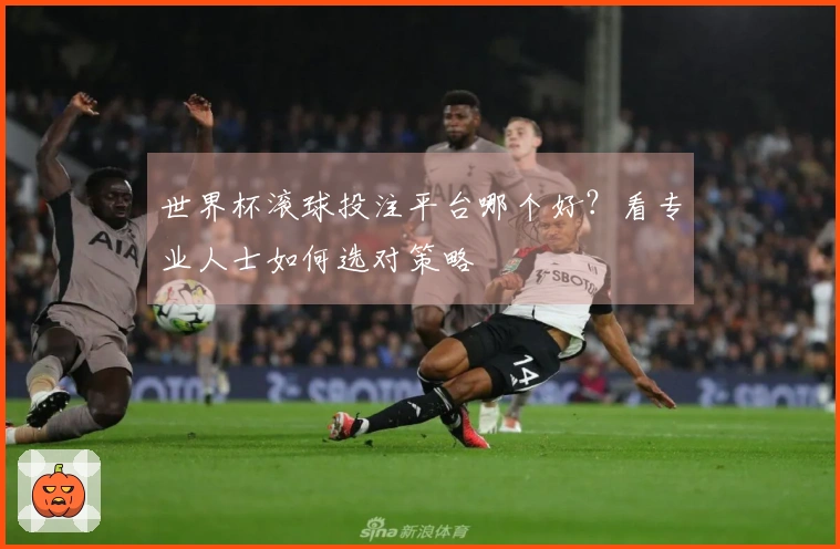 世界杯滚球投注平台哪个好？看专业人士如何选对策略