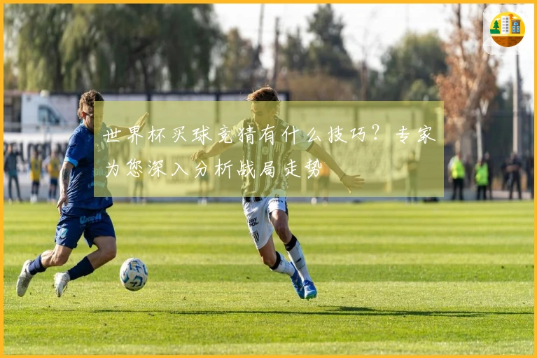世界杯买球竞猜有什么技巧？专家为您深入分析战局走势