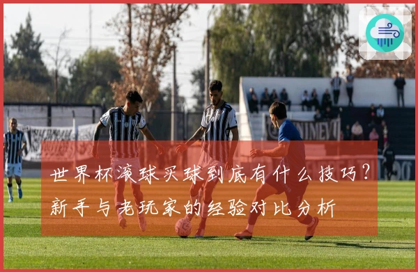 世界杯滚球买球到底有什么技巧？新手与老玩家的经验对比分析