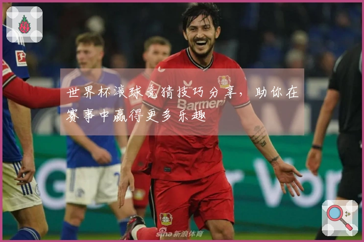 世界杯滚球竞猜技巧分享，助你在赛事中赢得更多乐趣