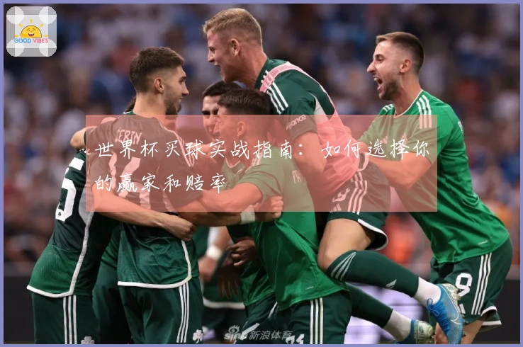世界杯买球实战指南：如何选择你的赢家和赔率